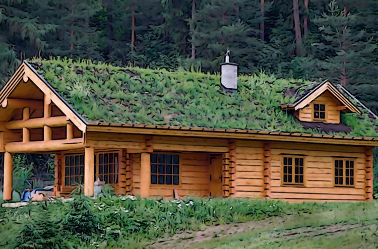 FOTOSOUTĚŽ "SVĚT OČIMA STAVAŘE" NA TÉMA: V SOULADU S PŘÍRODOU